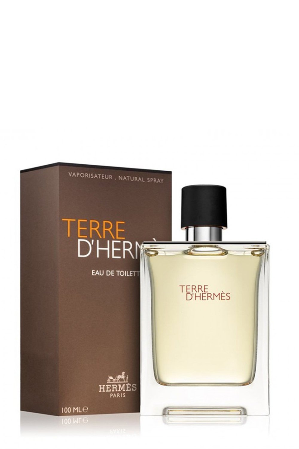Hermes Terre D Hermes Edt 100 Ml Erkek Parfüm 